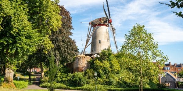 Rhenen geschiedenis Rhenen geschiedenis